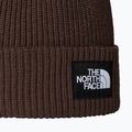 Zimní čepice The North Face Salty Lined 2