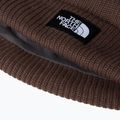 Zimní čepice The North Face Salty Lined 3