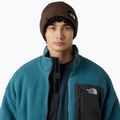 Zimní čepice The North Face Salty Lined 4