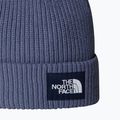 Zimní čepice The North Face Salty Lined 2