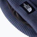 Zimní čepice The North Face Salty Lined 3