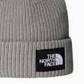 Zimní čepice The North Face Salty Lined 2