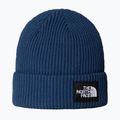 Zimní čepice The North Face Salty Lined