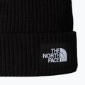 Zimní čepice The North Face Salty Lined 2