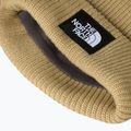 Zimní čepice The North Face Salty Lined 3