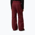 Dětské lyžařské kalhoty The North Face Freedom Insulated sumac 3