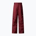 Dětské lyžařské kalhoty The North Face Freedom Insulated sumac 4