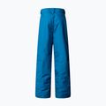 Dětské lyžařské kalhoty The North Face Freedom Insulated dusk blue 5