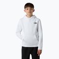 Dětská mikina The North Face Teen Redbox Regular P/O bílá/černá 4