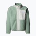 Dětská fleecová mikina The North Face Yumiori Full Zip slate moss/white dune 5