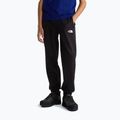 Pánské kalhoty The North Face Performance Fleece Jogger tnf black