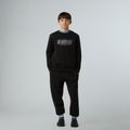Pánská mikina The North Face Reflective Logo Relaxed Crew black 2