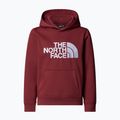 Dětská mikina The North Face Teen Drew Peak Pullover Hoodie sumac