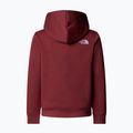 Dětská mikina The North Face Teen Drew Peak Pullover Hoodie sumac 2