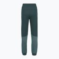 Dámské kalhoty The North Face Mountain Athletics Fleece deep cypress/space 2