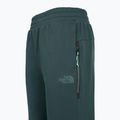Dámské kalhoty The North Face Mountain Athletics Fleece deep cypress/space 3