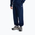 Pánská mikina The North Face Evolution Simple Dome Regular Hoodie summit navy