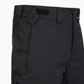 Pánské lyžařské kalhoty The North Face Chakal Regular black/black 3