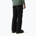 Pánské lyžařské kalhoty The North Face Descendit black/black 3