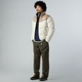 Pánská bunda The North Face Saikuru mushroom grey/white dun 2
