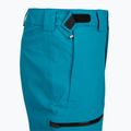 Pánské lyžařské kalhoty The North Face Chakal Regular dusk blue 3