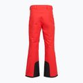Pánské lyžařské kalhoty The North Face Chakal Regular elevation red 2