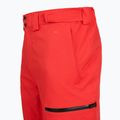 Pánské lyžařské kalhoty The North Face Chakal Regular elevation red 4