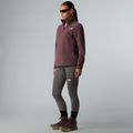 Dámská fleecová mikina The North Face Glacier Fleece 1/4 Zip tawny quartz 2