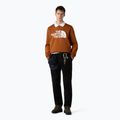 Pánská mikina The North Face Easy Crew burnt umber 2