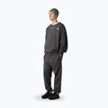 Pánské kalhoty The North Face Expedition Celebration Relaxed Jogger Reg antracithe grey 2