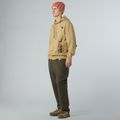 Pánská mikina The North Face Mountain Logo Relaxed Hooded khaki stone 2