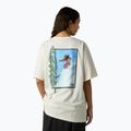 Pánské tričko The North Face NSE Slopes Relaxed Tee Graphic white dune 3