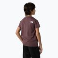 Dětské tričko The North Face Simple Dome tawny quartz 5