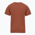 Pánské termo tričko Smartwool Merino Sport 120 burnt sienna 2