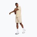 Pánské šortky Nike Totality Dri-Fit 9" desert khaki/black/desert khaki/black 2