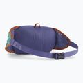 Ledvinka Patagonia Terravia Tote solstice purple  2