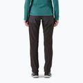 Dámské tepláky Patagonia Terravia Alpine Pants black w/ink black 3