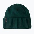Zimní čepice Patagonia Brodeo Beanie cascade green