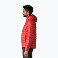 Pánská péřová bunda Patagonia Down Sweater Hoody amanita red 4