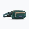 Belt bag Patagonia Terravia Mini Hip cascade green