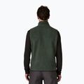 Pánská vesta Patagonia Retro Pile Fleece old growth green 2