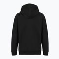 Pánská mikina Patagonia '95 Oval Logo Uprisal Hoody Black: Kaleido 2