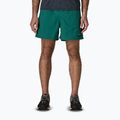 Pánské šortky Patagonia Baggies 5" 95 oval logo/gem green