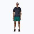 Pánské šortky Patagonia Baggies 5" 95 oval logo/gem green 2