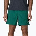 Pánské šortky Patagonia Baggies 5" 95 oval logo/gem green 4