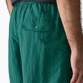 Pánské šortky Patagonia Baggies 5" 95 oval logo/gem green 7