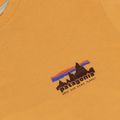 Pánské tričko na lezení Patagonia '73 Skyline T-Shirt dried mango 3