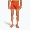 Pánské termo boxerky Icebreaker Anatomica fervid 2