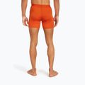 Pánské termo boxerky Icebreaker Anatomica fervid 4