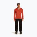 Pánská mikina Icebreaker Merino 260 Quantum IV Zip Hoodie agate 2